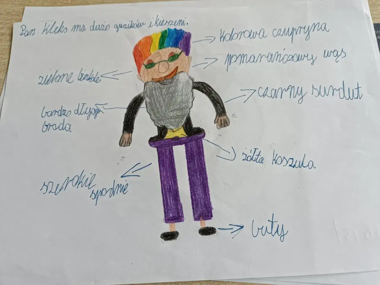 Opis Pana Kleksa: tęczowa czupryna, pomarańczowy wąs, zielone finkle, szary surdut, ż&oacute;łta koszula, szerokie spodnie, czarne buty.