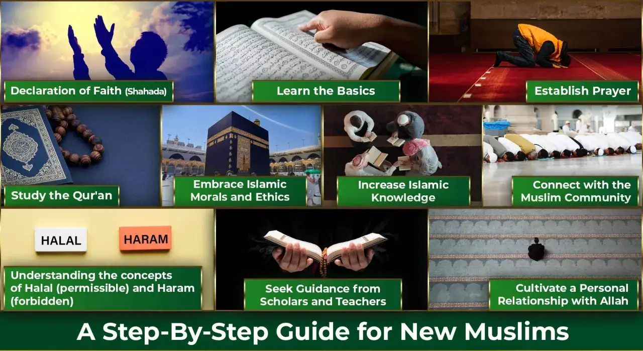 En guide f&ouml;r nya muslimer som t&auml;cker tro, b&ouml;n, Koranen, etik, kunskap, gemenskap, halal/haram och relationen till Allah. Ingen fatwa islam n&auml;mns.