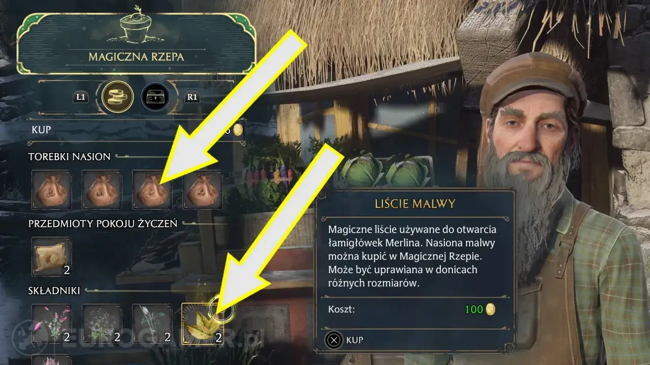 Nasiona malwy w grze Hogwarts Legacy, dostępne do kupienia w Magicznej Rzepie.