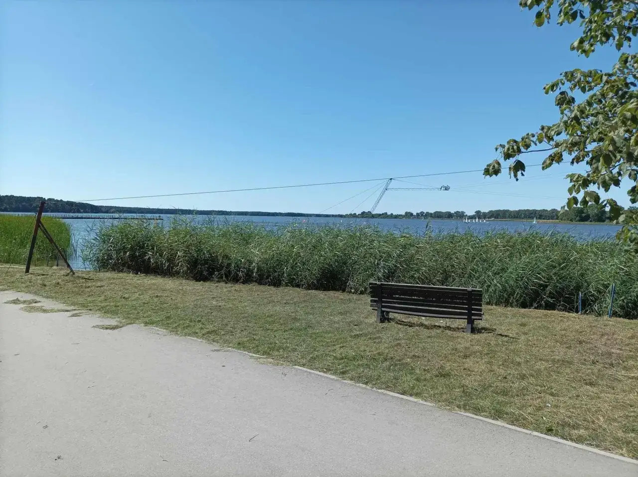 Ławka nad wodą, trzciny i słupy wyciągu do nart wodnych na zalewie zemborzyckim.