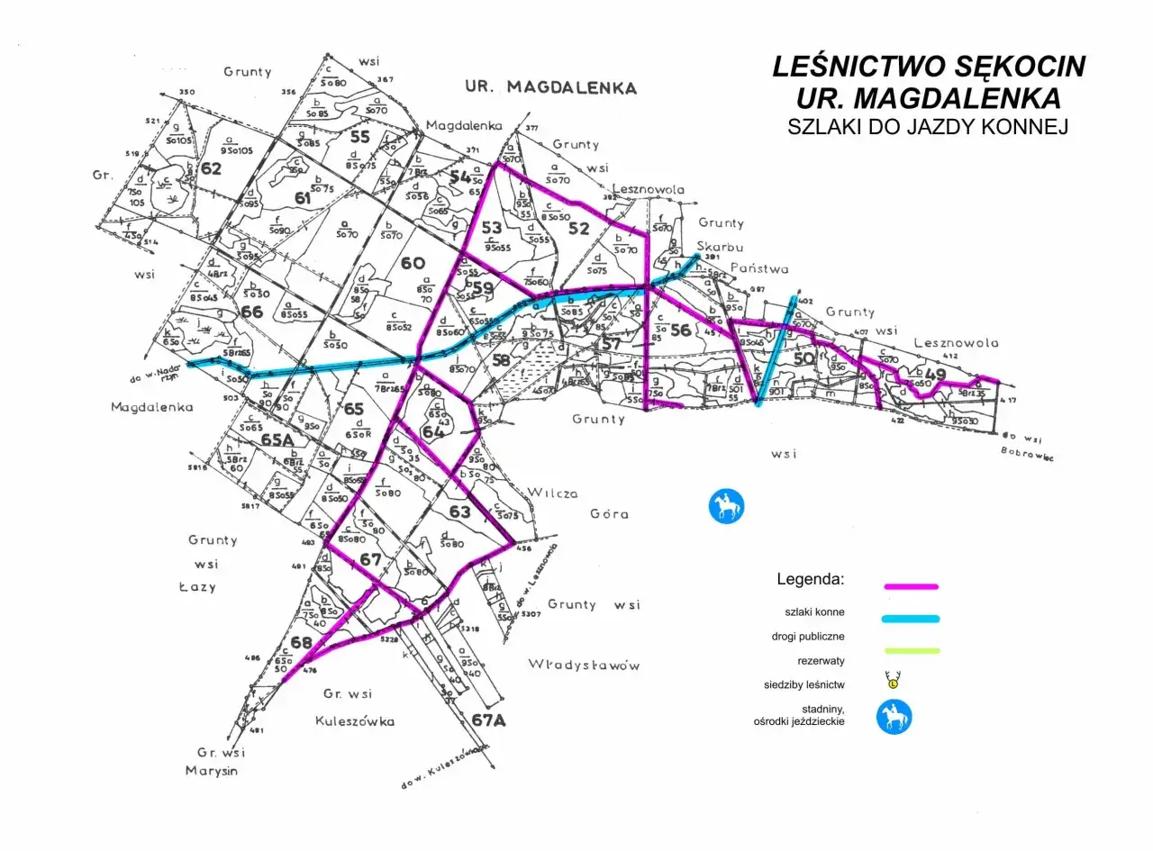 Mapa stadnin koni Piaseczno