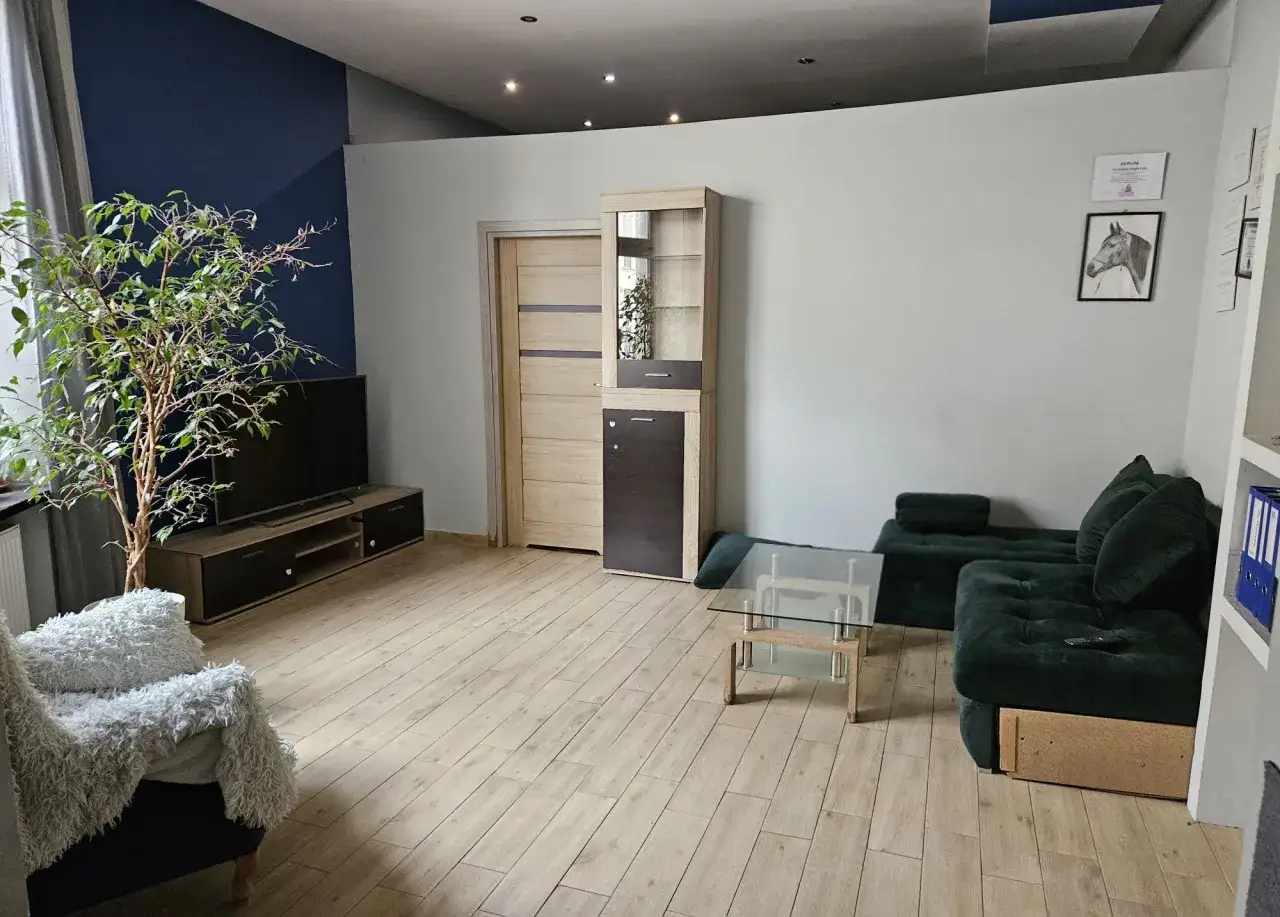 Nowe mieszkania za odstępne w Łodzi. Salon z kanapą, fotelem, stolikiem kawowym, szafką RTV i rośliną.
