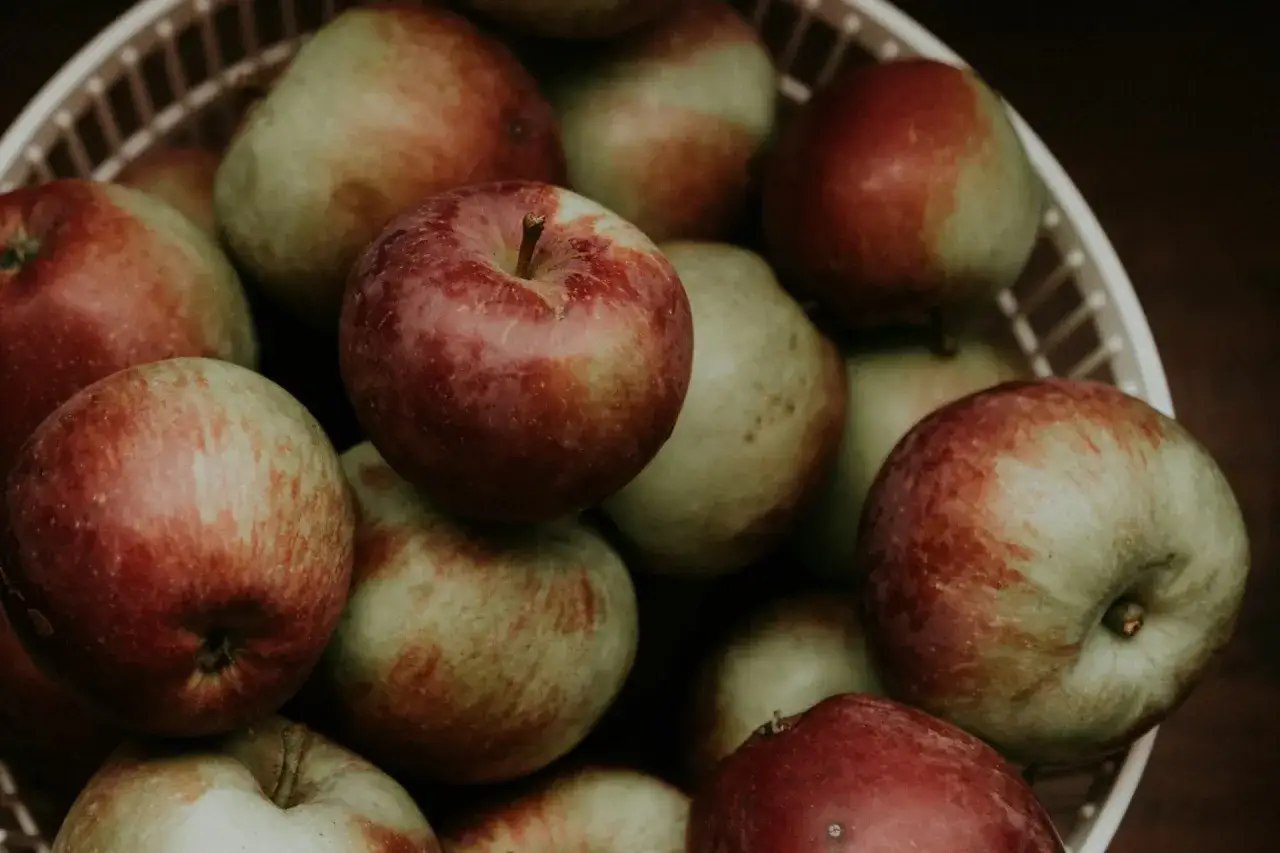 Koszyk pełen jabłek, czerwonych i zielonych. Czy pies może jeść jabłko ze sk&oacute;rką? Tak, jeśli jest umyte.