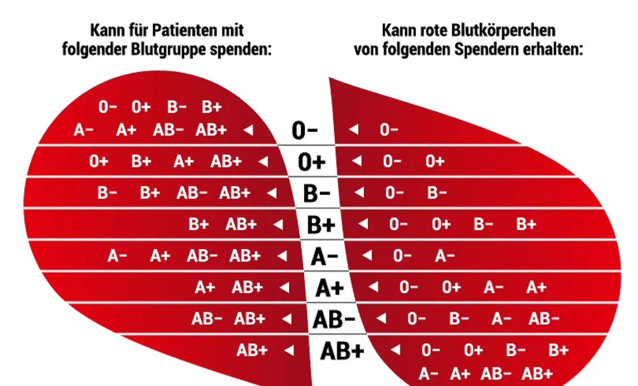 Blutgruppe 0 positiv ist ein universeller Spender. Die Tabelle zeigt, wer von wem Blut erhalten kann.