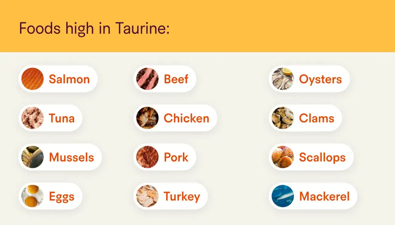 Lebensmittel mit viel Taurin: Lachs, Rind, Austern, Thunfisch, Huhn, Muscheln, Schwein, Jakobsmuscheln, Eier, Pute, Makrele. Wie viel Taurin am Tag?