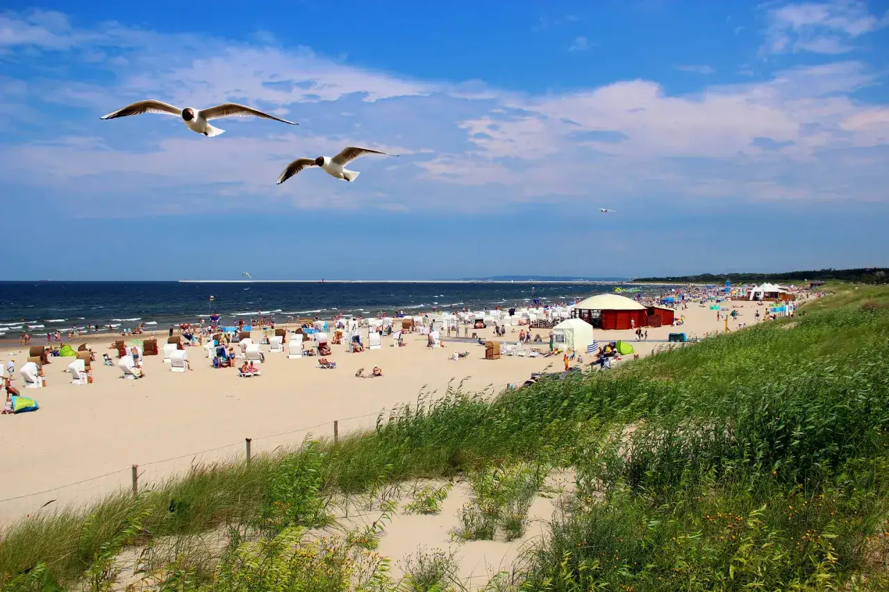 Słoneczny dzień na jednych z najpiękniejszych polskich plaż nad Bałtykiem. Tłumy plażowiczów, mewy szybujące na niebie.