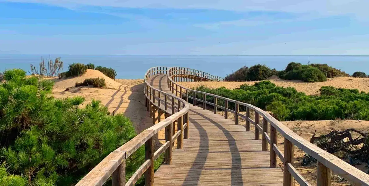 Pasarela de madera serpentea por las dunas de arena y vegetación hacia el mar azul en la playa Els Tossals.