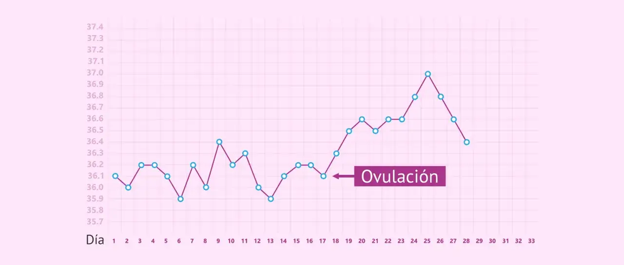 Gr&aacute;fico de temperatura basal mostrando la ovulaci&oacute;n. Conocer estos datos es clave para trucos para quedarse embarazada a la primera.