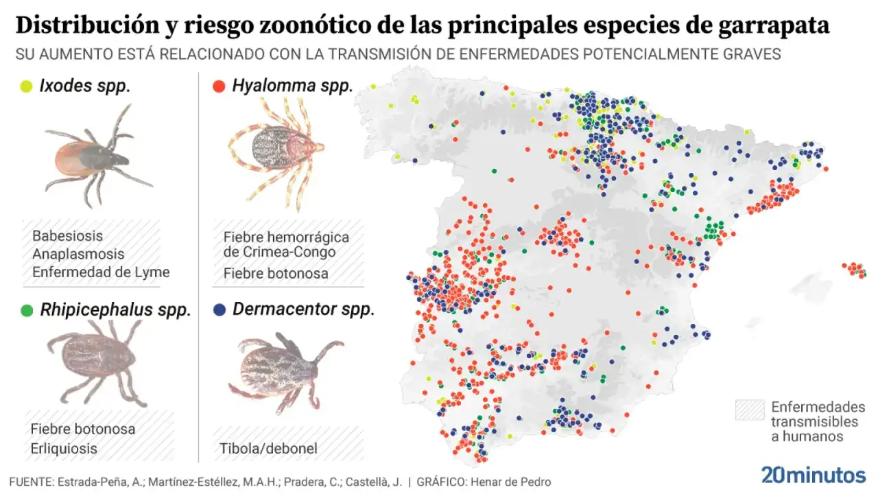 Mapa de Espa&ntilde;a con puntos de colores que indican la distribuci&oacute;n de tipos de garrapatas y las enfermedades que transmiten.