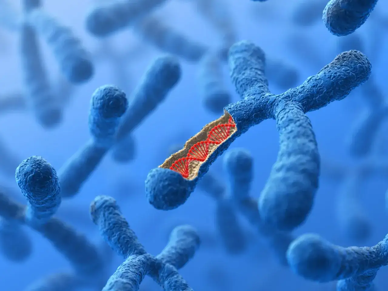 Chromosomy, w tym jeden z widocznym DNA, symbolizują złożoność genetyczną, która może wpływać na choroby, jak u Stephena Hawkinga.