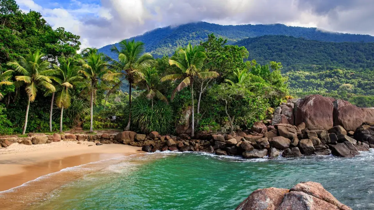 Rajska nordeste playa z palmami, piaszczystą plażą i turkusową wodą. W tle góry porośnięte dżunglą.