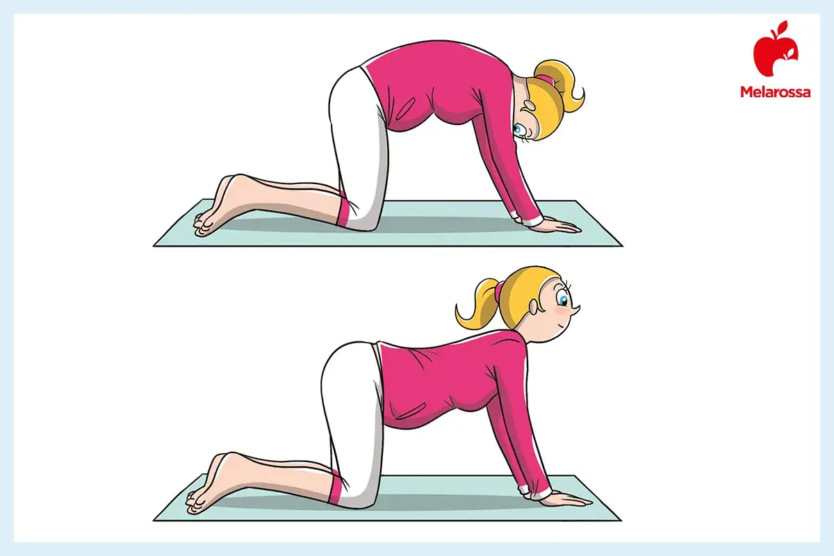 Esercizi di yoga per alleviare la paura in gravidanza: posizione del gatto e della mucca per rilassare la schiena.