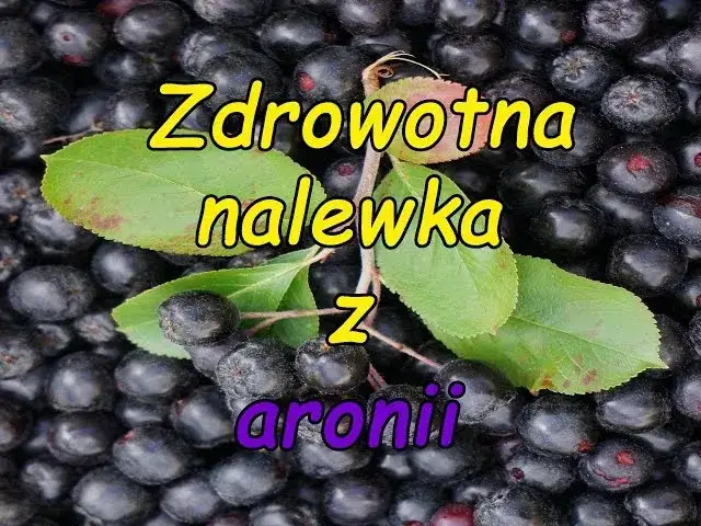 Zdjęcie Nalewka z aronii: zdrowie czy ryzyko? Poznaj prawdę!