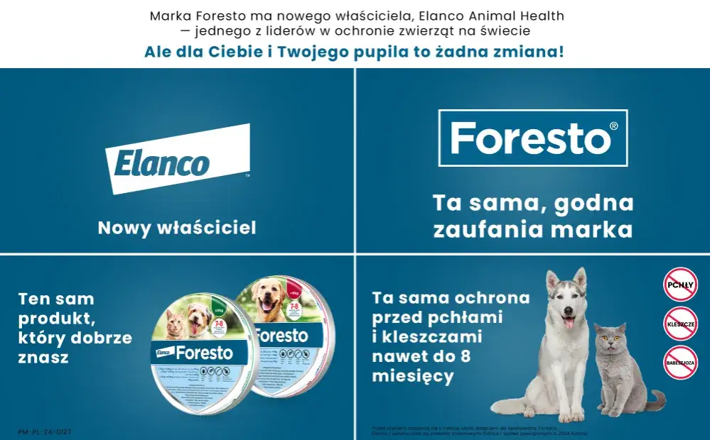 Zdjęcie Jak działa obroża Foresto? Skuteczna ochrona przed pchłami i kleszczami