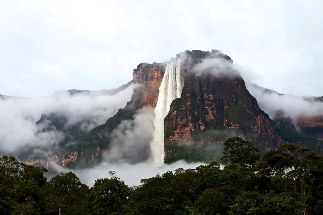 Der Salto &Aacute;ngel st&uuml;rzt von einem Tafelberg, umgeben von Nebel und &uuml;ppigem Gr&uuml;n.