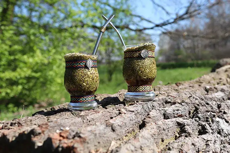 Yerba mate i guarana w naturalnym otoczeniu