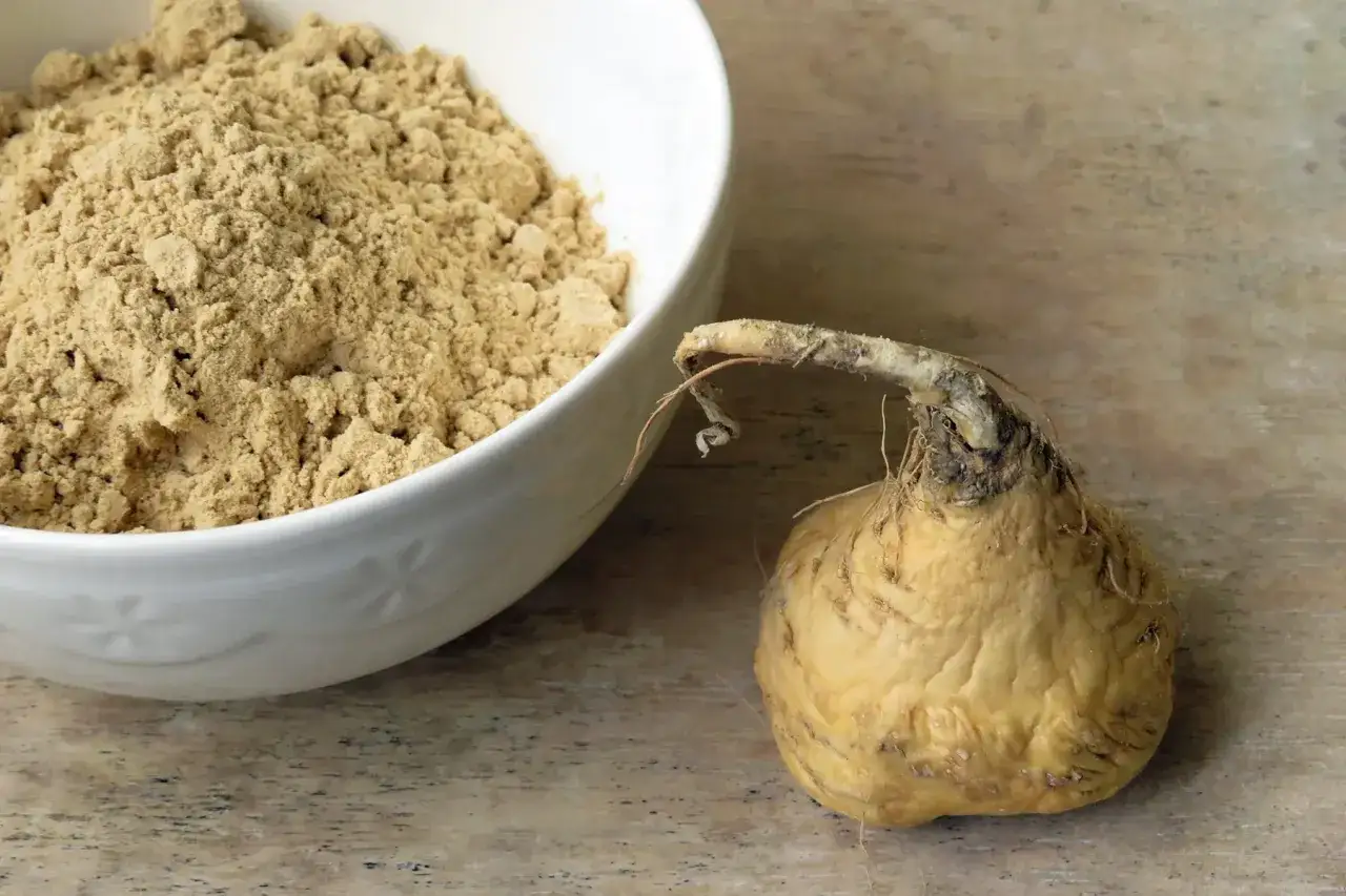 Maca, eine Wurzelknolle, und ihr Pulver in einer Schüssel. Maca co to jest? Dieses Superfood ist bekannt für seine Energie.