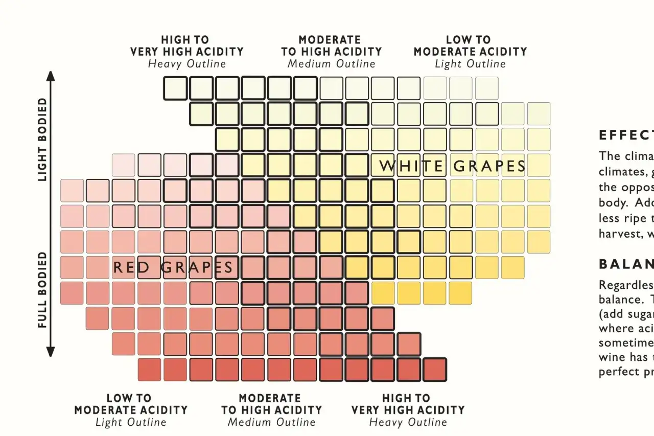 Tableau des cépages : corps, acidité et couleur. Le nom de cépage top 7 est représenté par des carrés colorés.