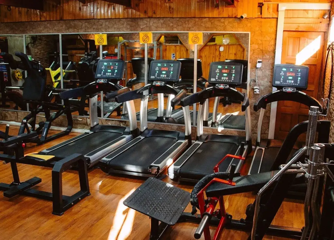 Cintas de correr y máquinas de pesas en un gimnasio con paredes de madera. Un lugar ideal para tu **basic fit**.