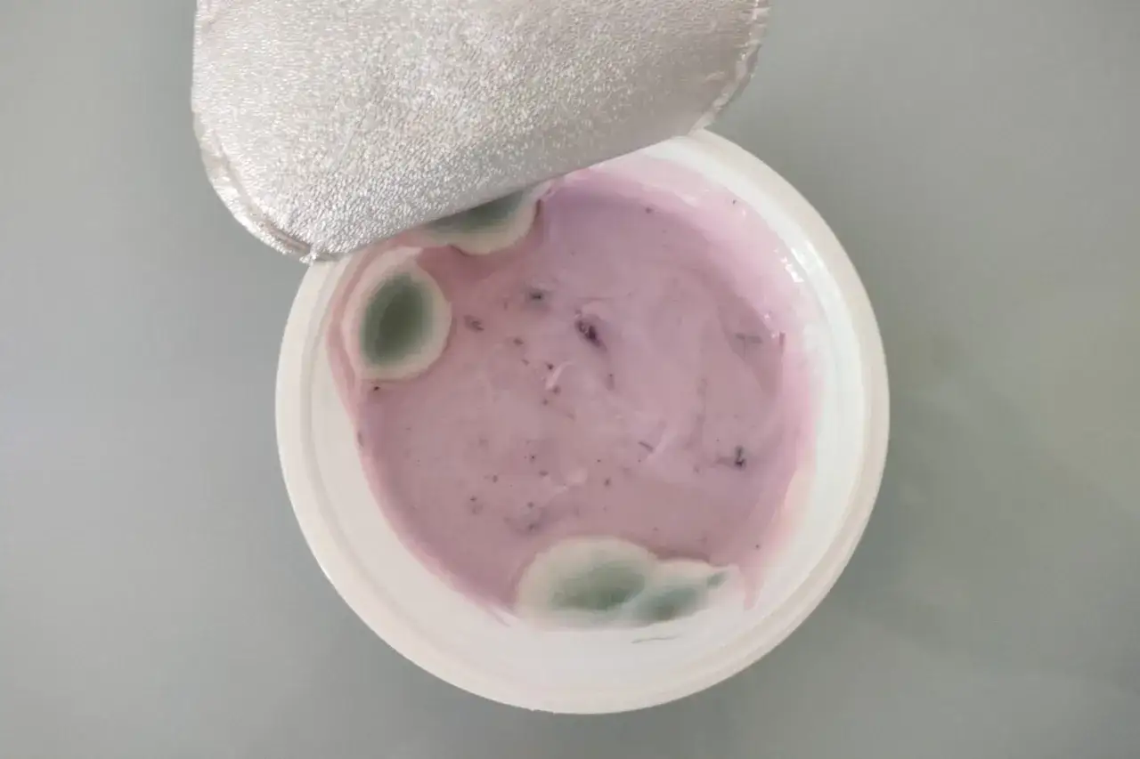 Yogurt viola con macchie verdi di muffa, segno che non va più consumato.