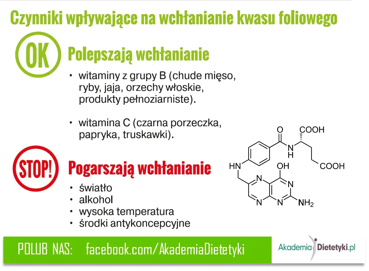 Kwas foliowy na co wpływa? Witamina C i B poprawiają wchłanianie, światło, alkohol i leki pogarszają.