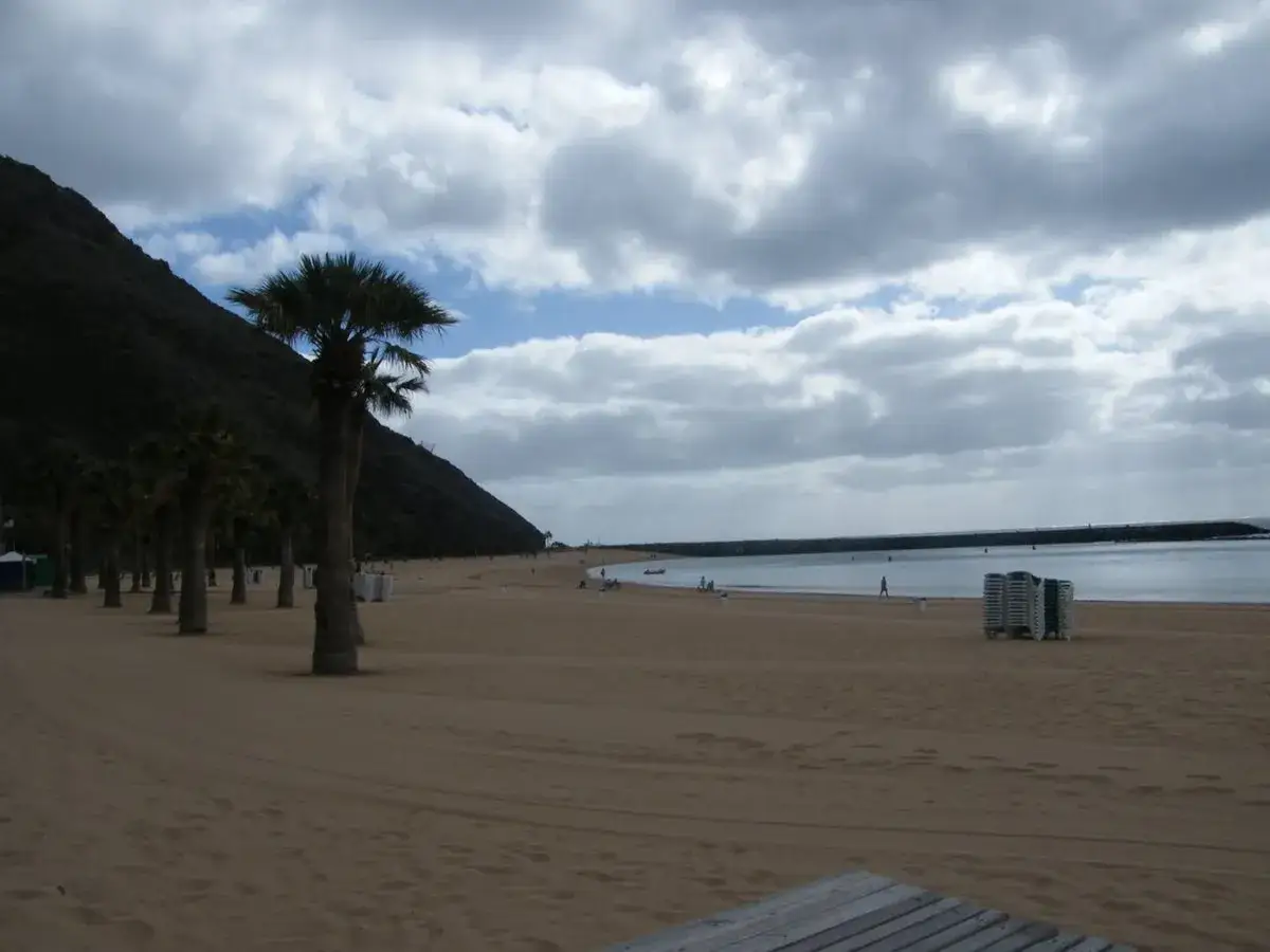 Plaża na Teneryfie w grudniu. Palmy, piasek i morze pod zachmurzonym niebem.