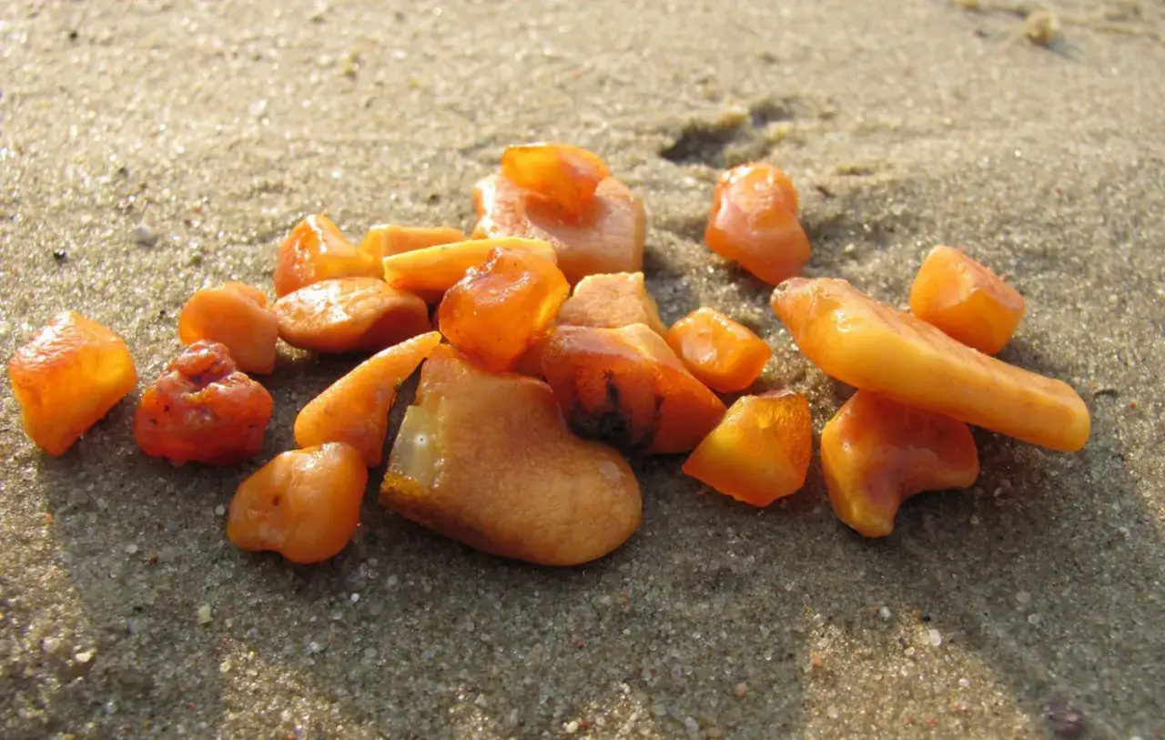 Kawałki bursztynu na piaszczystej plaży. Jak rozpoznać bursztyn na plaży? Szukaj tych bursztynowych skarbów!