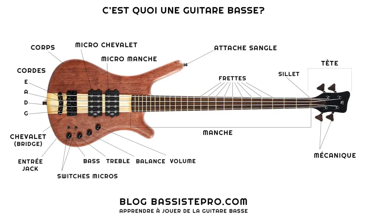 Vue &eacute;clat&eacute;e d'une guitare basse en bois, montrant ses composants : corps, manche, frettes, m&eacute;caniques, micros, chevalet, et les cordes pour produire des notes basse.