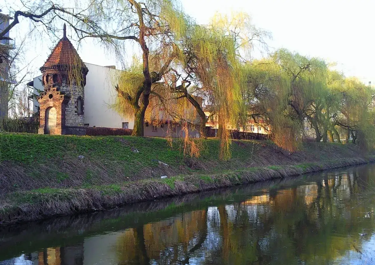 Park Sielecki Sosnowiec