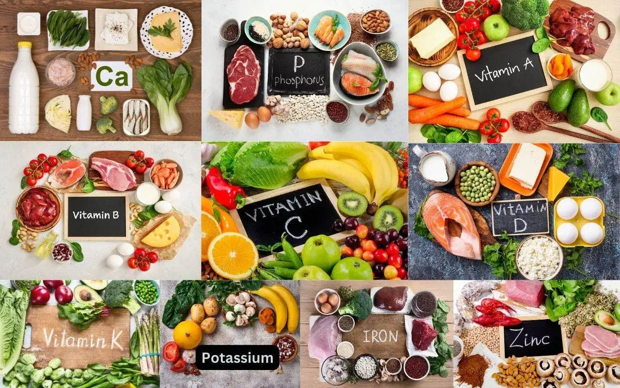 Alimenti ricchi di calcio, fosforo, vitamine A, B, C, D, K, ferro e zinco, essenziali per la salute e per vitamine per rinforzare i denti.