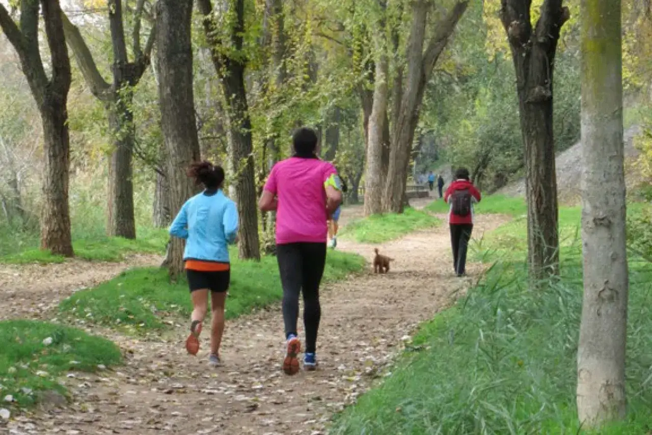 Personas corriendo por un sendero arbolado, disfrutando del senderismo en Alcal&aacute; de Henares. Un perro les acompa&ntilde;a.