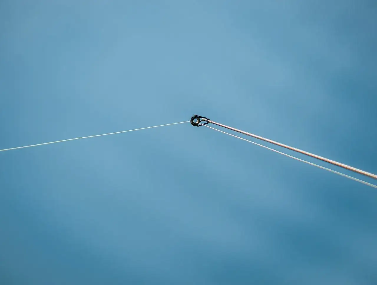 Delikatna żyłka na szczytówce feedera, idealna do połowu płoci. Jaka plecionka do feedera? Ta żyłka sprawdzi się świetnie!