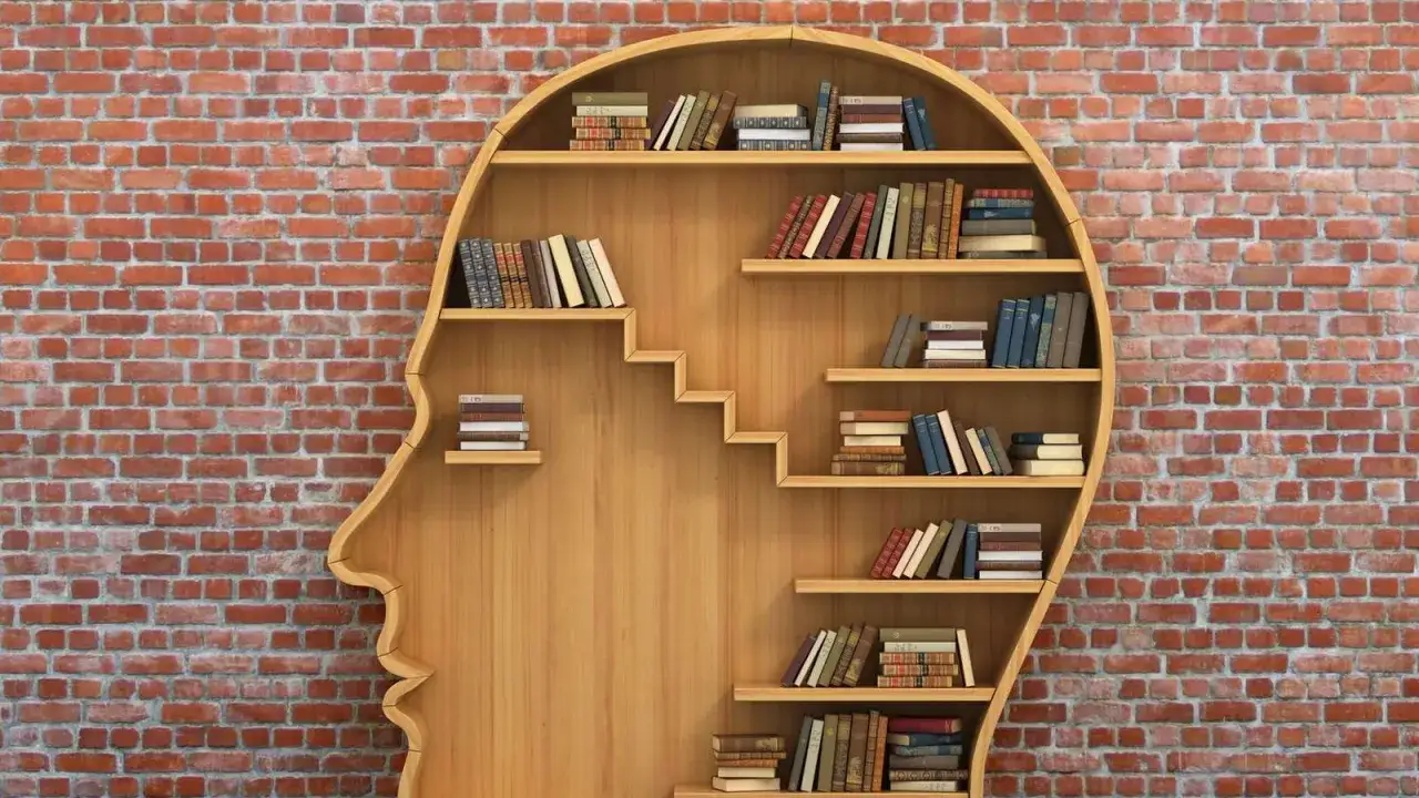 B&uuml;cherregal in Form eines Kopfes, gef&uuml;llt mit B&uuml;chern. Das Ausmisten von Wissen und Gedanken ist wie das Ordnen dieser Regale.