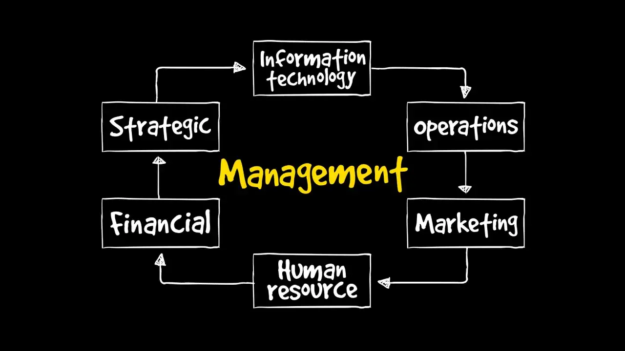 Diagrama de flujo que muestra los elementos de la empresa: Gesti&oacute;n, Tecnolog&iacute;a de la Informaci&oacute;n, Operaciones, Marketing, Recursos Humanos, Finanzas y Estrategia.