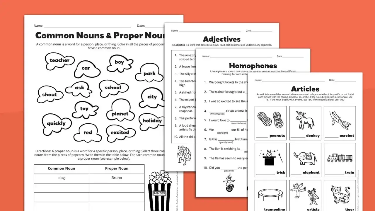 Materiale didattico per la scuola primaria su nomi comuni, aggettivi, om&ograve;foni e articoli.
