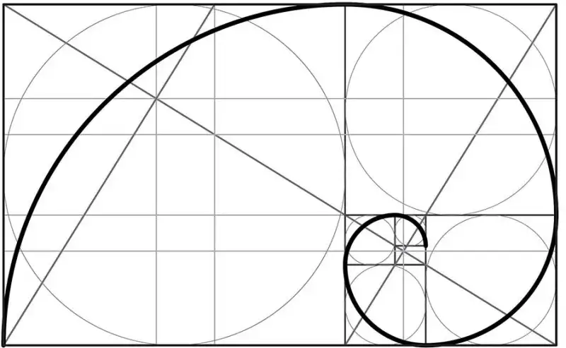 złota proporcja spirala