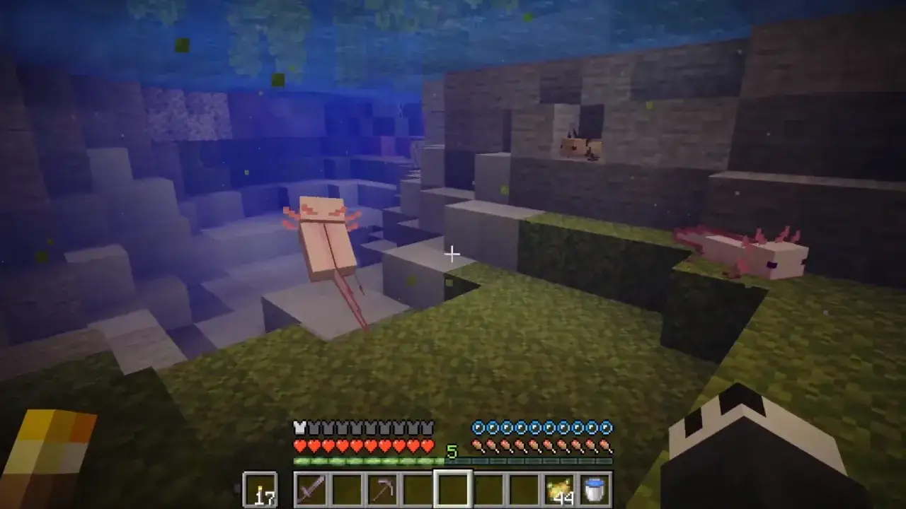 Un jugador explora una cueva submarina en Minecraft, encontrando varios ajolotes.