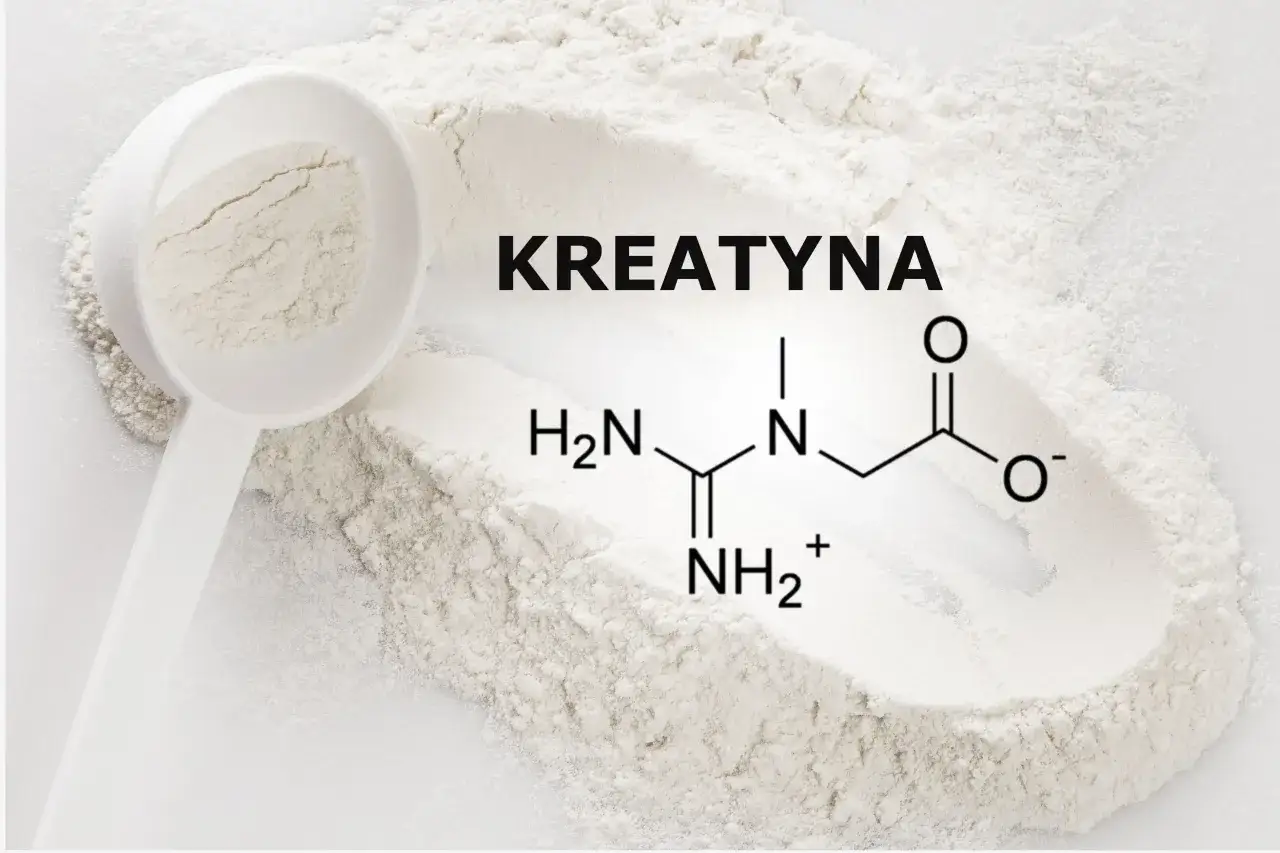 Biały proszek kreatyny z miarką i wzorem chemicznym. Czy kreatynina ma być na czczo? To pytanie często zadawane przez sportowców.