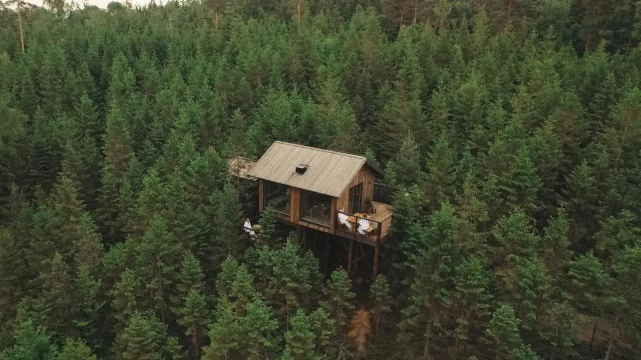 Drömmen om att bo i koja och skogen hotell blir verklighet i denna moderna träkoja, omgiven av en tät grön skog.