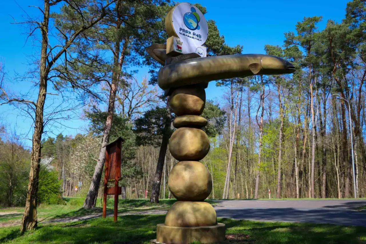 Rzeźba węgorza na kamiennym postumencie, symbol Parku Ryb. Wspaniałe trzcianka atrakcje przyrodnicze.