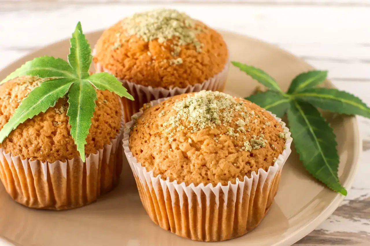 Drei Muffins mit Hanfmehl bestreut und mit Hanfbl&auml;ttern dekoriert. Leckere Hanfmehl Rezepte zum Nachbacken.