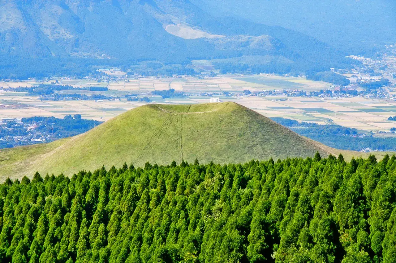 Zielony, trawiasty wulkan w Japonii, z lasem cyprysów na pierwszym planie i polami uprawnymi w oddali.