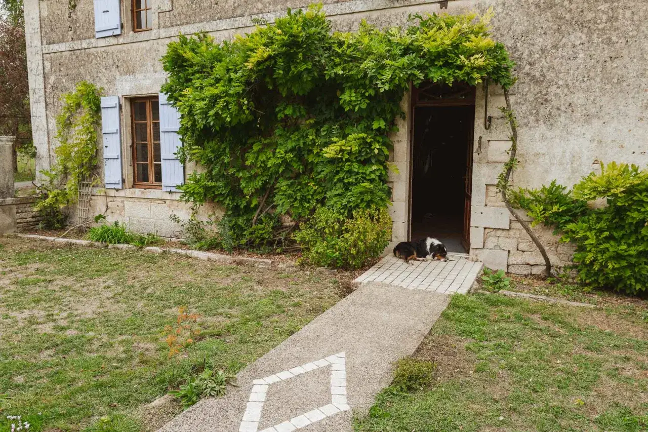 Deux chiens se prélassent devant une maison en pierre envahie par la végétation. La question