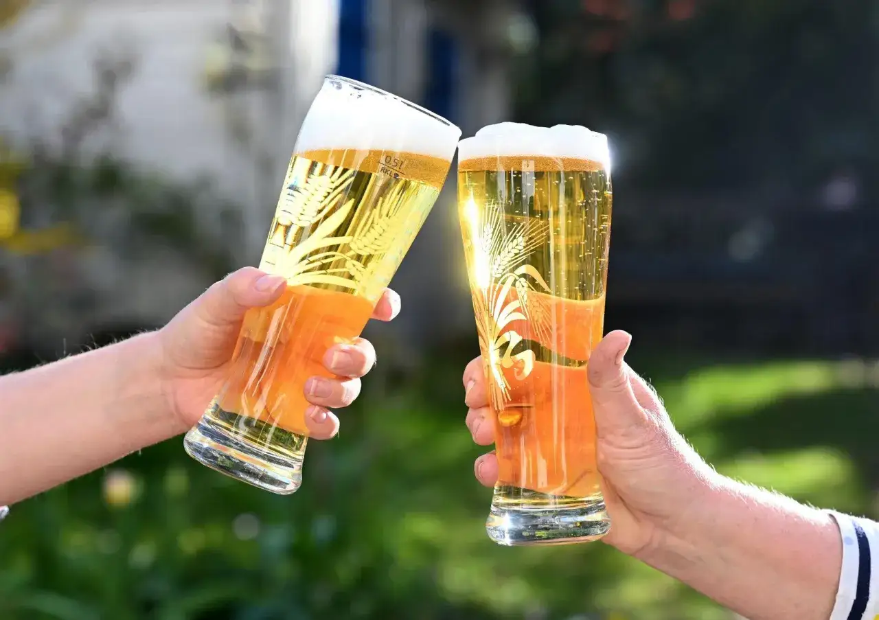 Zwei Hände stoßen mit Gläsern an, die mit hellem Bier gefüllt sind. Der Unterschied zwischen Vollbier und hellem Bier wird hier bildlich dargestellt.