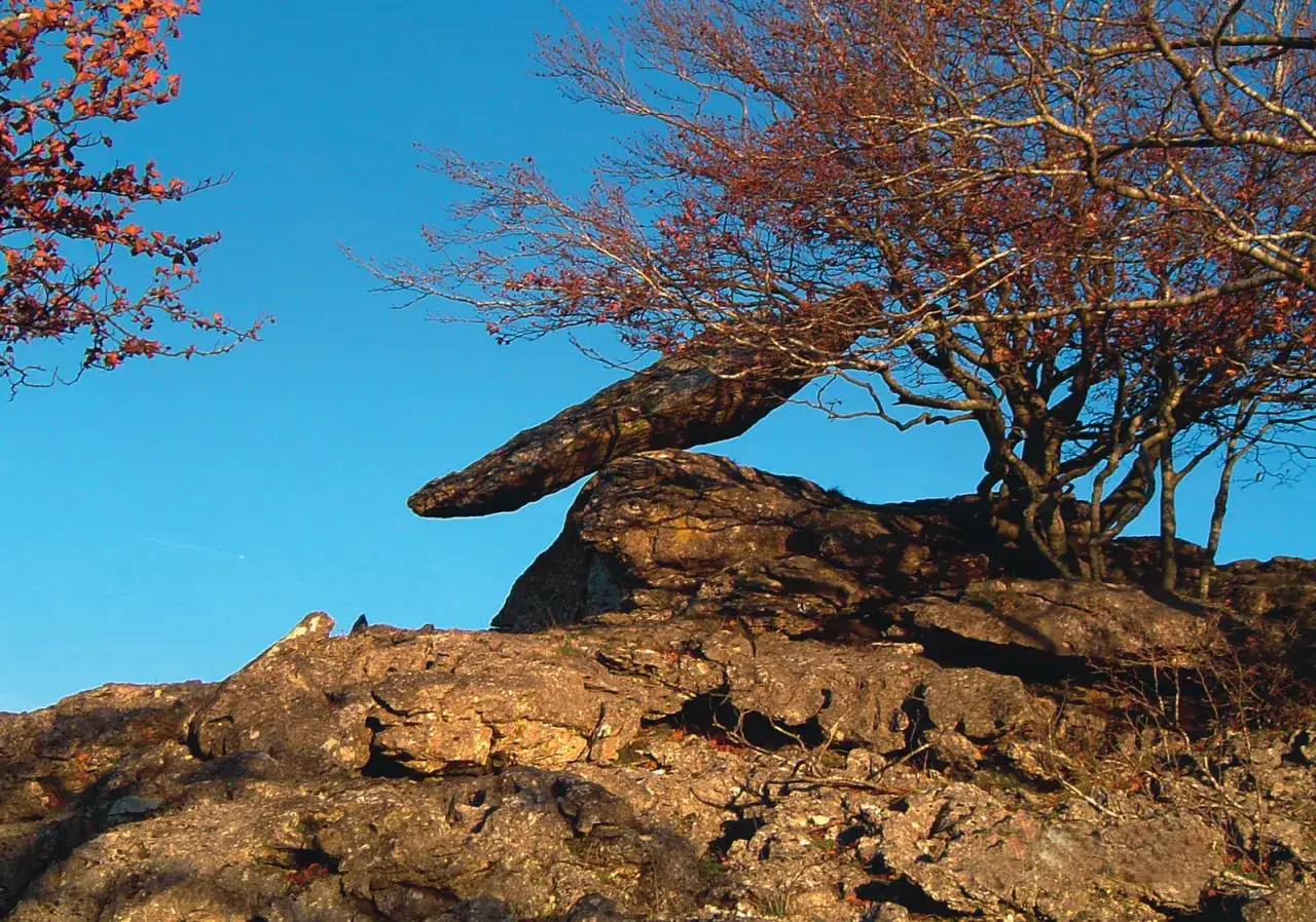 Roca desafiante en el kil&oacute;metro vertical San Donato, con un &aacute;rbol de ramas secas y hojas rojizas contra el cielo azul.