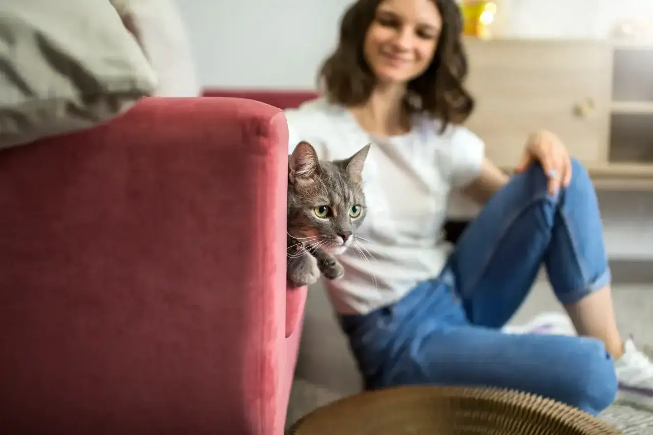 Wzorniki tkanin odpornych na koty