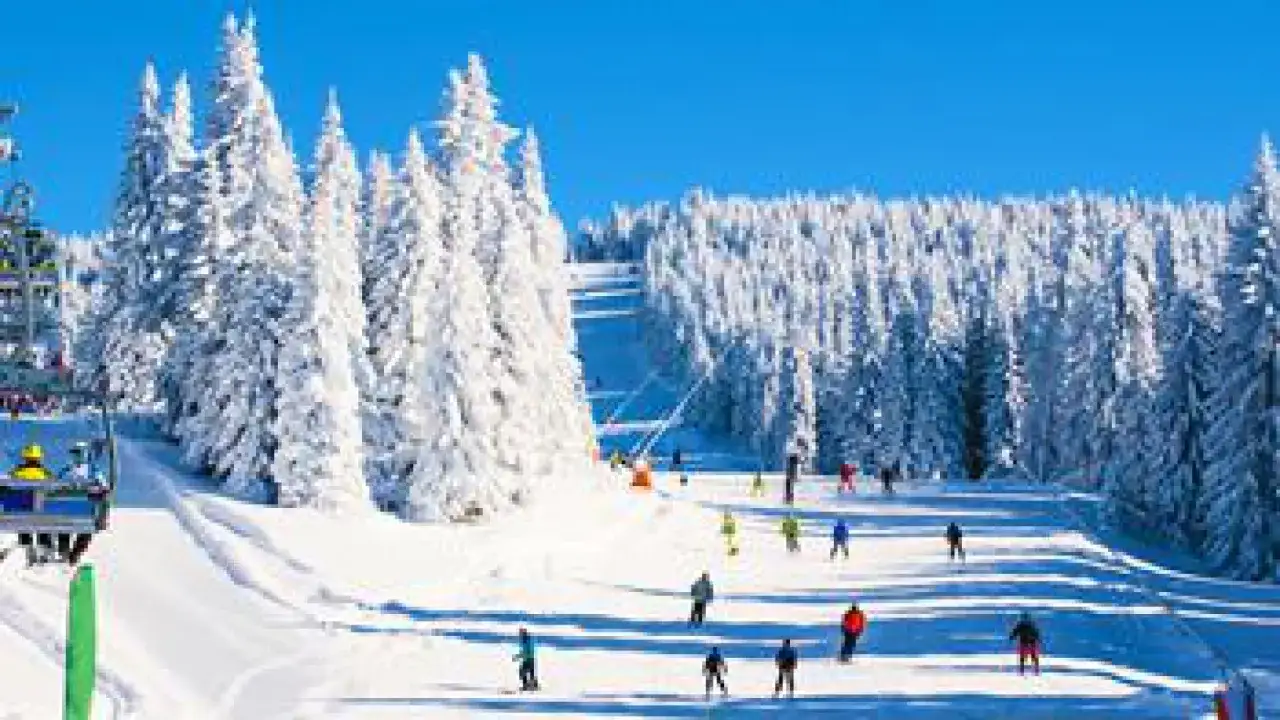 Piste innevate e sciatori su una montagna, tipica di **localit&agrave; sciistiche famose** con alberi coperti di neve e cielo azzurro.