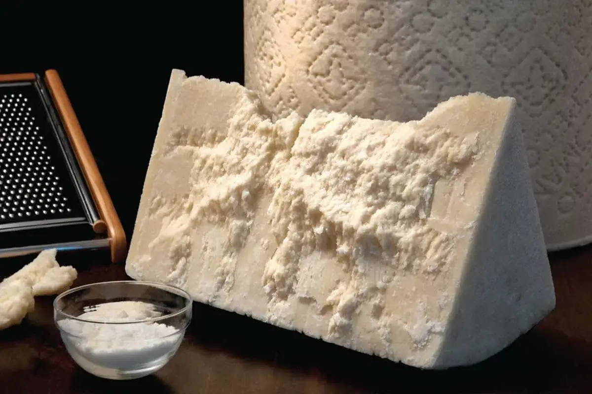 Un pezzo di formaggio stagionato, il pecorino è un formaggio grasso, con una grattugia e una ciotola di formaggio grattugiato.