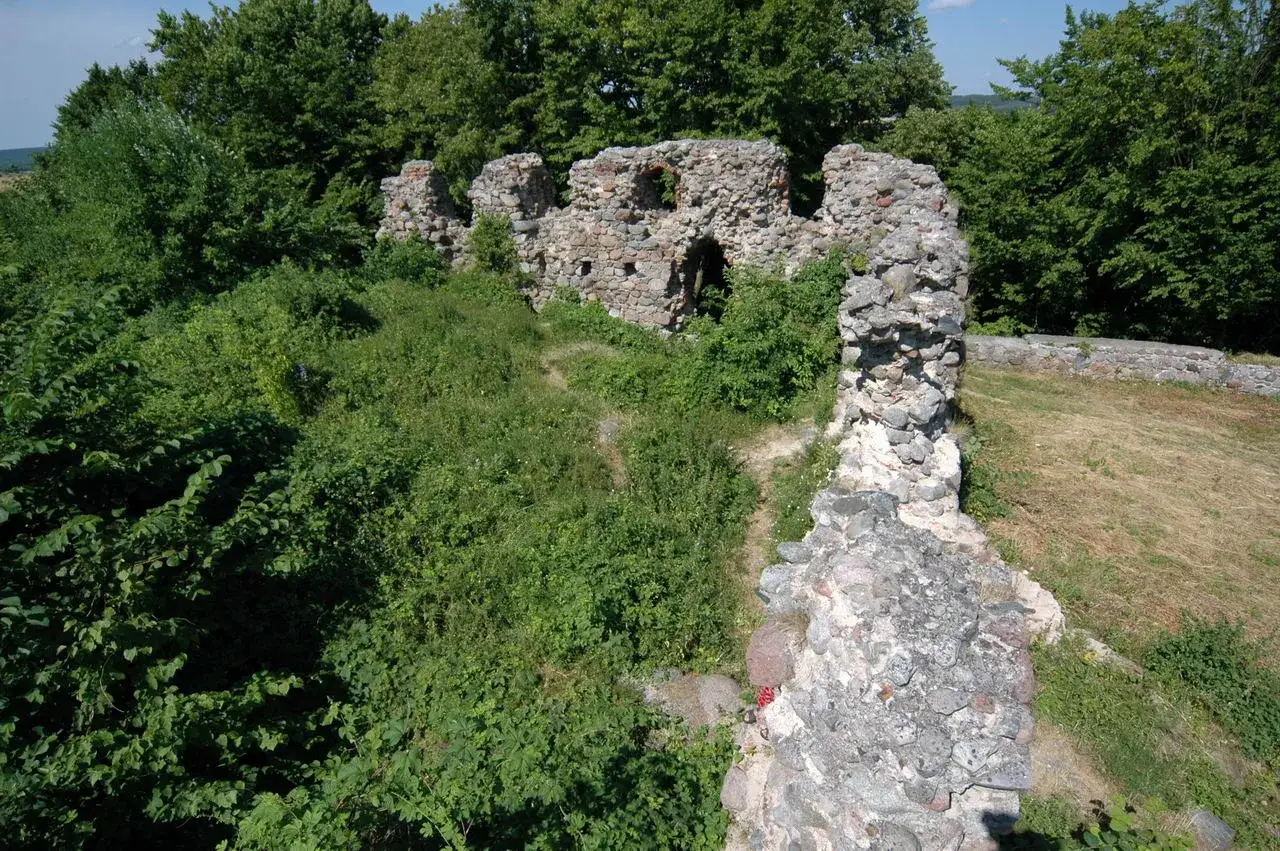 Kamienne ruiny zamku w Kurzętniku, porośnięte zielenią, z fragmentami mur&oacute;w i łukowatymi otworami.