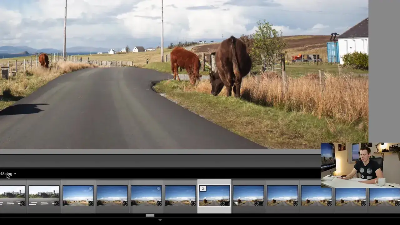 Dans Lightroom, on peut dupliquer une photo pour expérimenter. Ici, des vaches paissent près d'une route écossaise.
